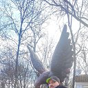 ���� �����, ������, 42 ���� - ��������� 22 ������ 2024 � ������ ���� ����������