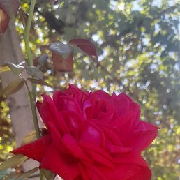 ���� ����., ������, 55 ��� - ��������� 30 ������ 2026