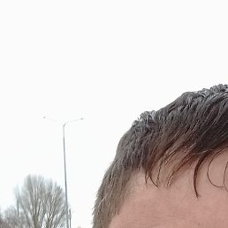 ������, �����������, 44 ����