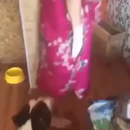 GIF Preview