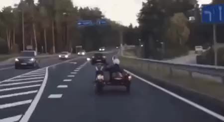 GIF Preview