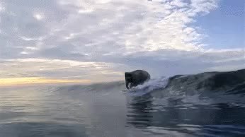 GIF Preview