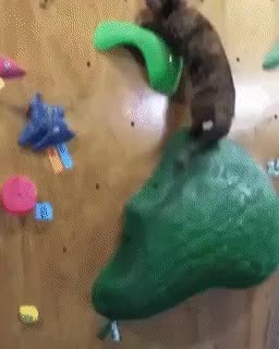 GIF Preview