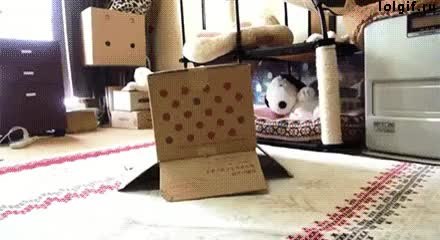 GIF Preview