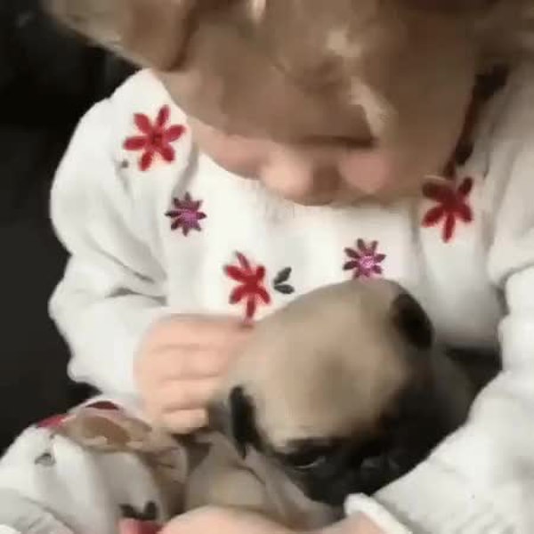 GIF Preview