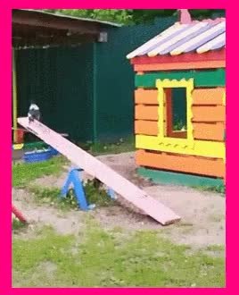 GIF Preview