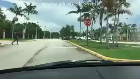 GIF Preview