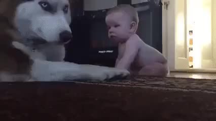 GIF Preview