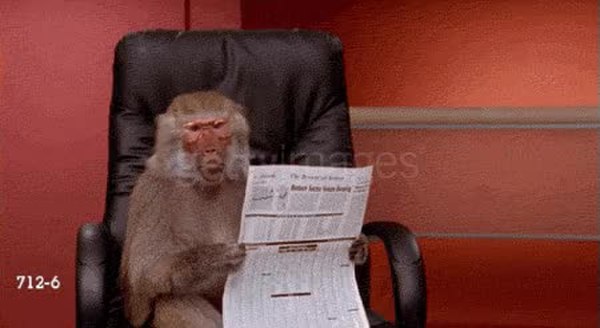 GIF Preview
