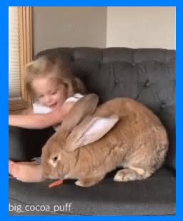 GIF Preview