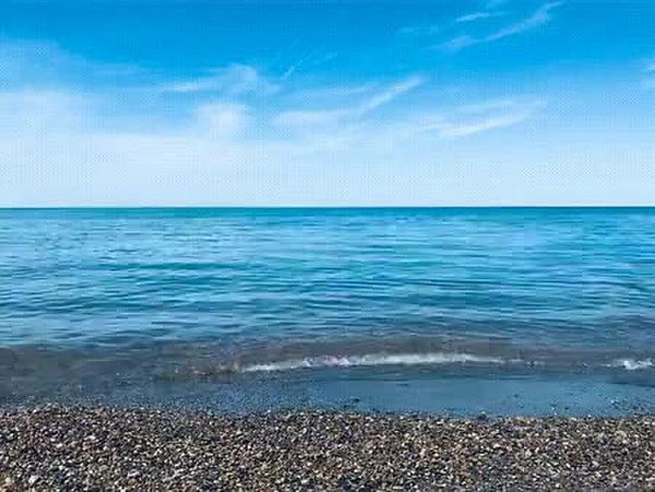 GIF Preview