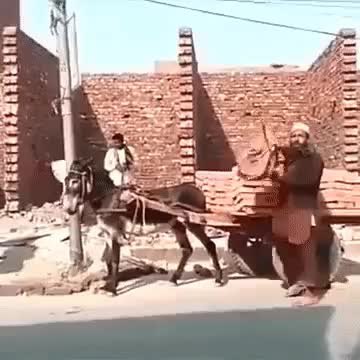 GIF Preview