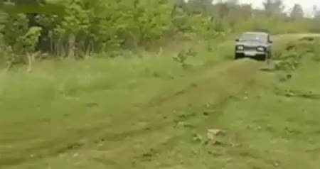 GIF Preview