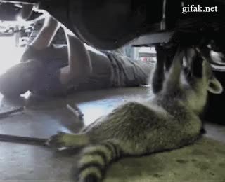 GIF Preview