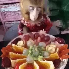 GIF Preview