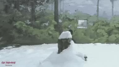 GIF Preview