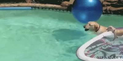 GIF Preview