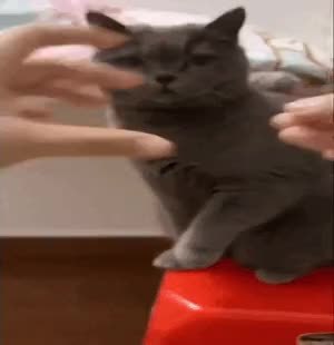 GIF Preview