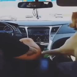GIF Preview