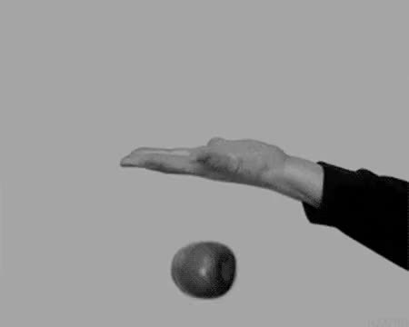 GIF Preview