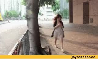 GIF Preview