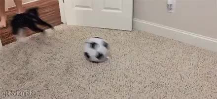 GIF Preview