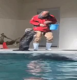 GIF Preview
