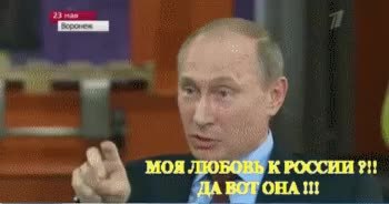 GIF Preview
