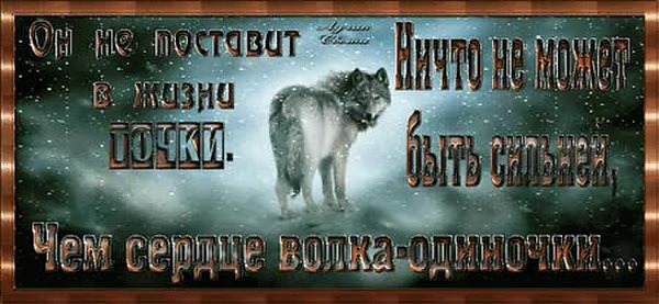 Доброй ночи картинки пожелания с волком