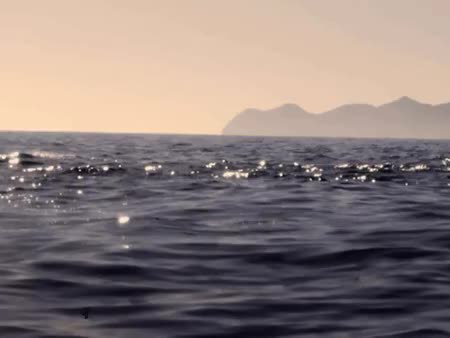 GIF Preview