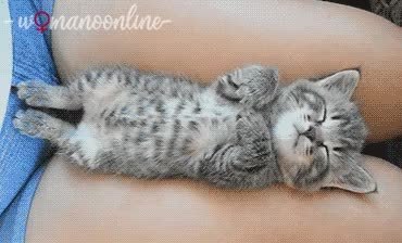 GIF Preview
