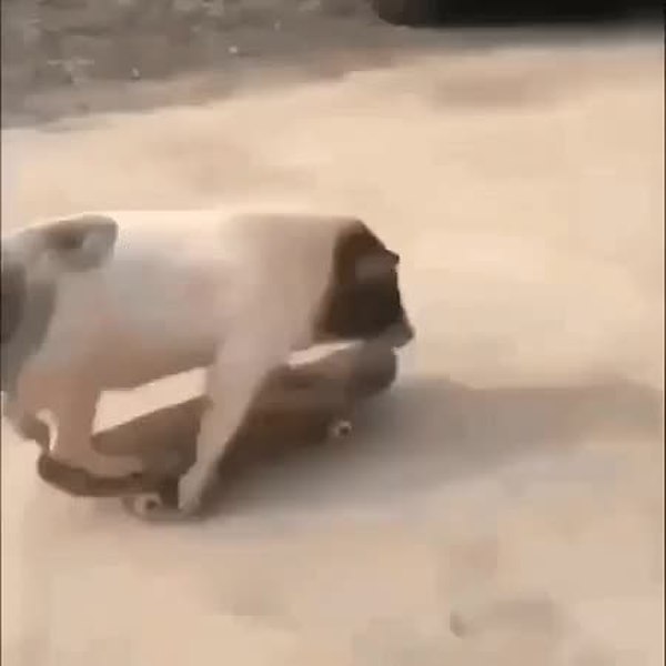 GIF Preview