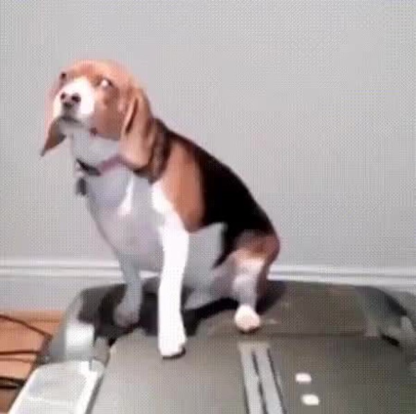 GIF Preview
