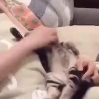GIF Preview