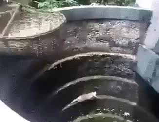 GIF Preview
