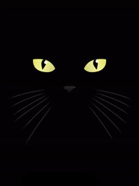 GIF Preview