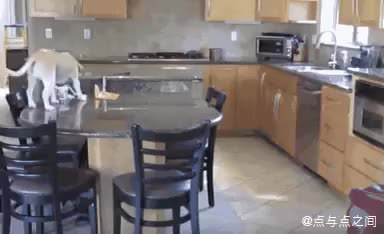 GIF Preview