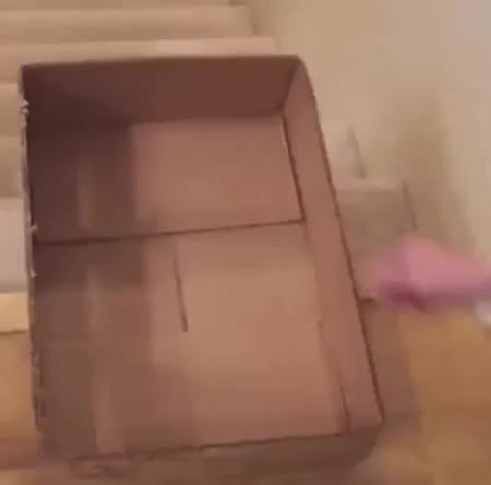 GIF Preview