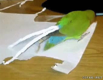 GIF Preview