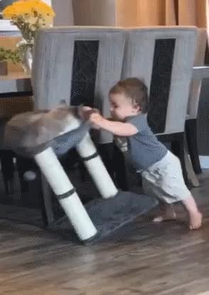 GIF Preview