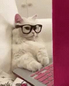 GIF Preview