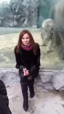 GIF Preview