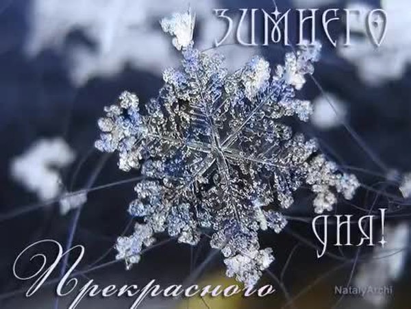 Доброе утро снежинки. Снежинка. Снежинка тает. Снежинки фото. Тающая Снежинка.