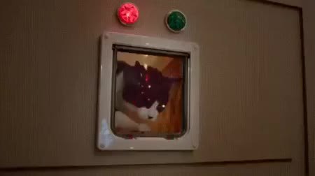 GIF Preview