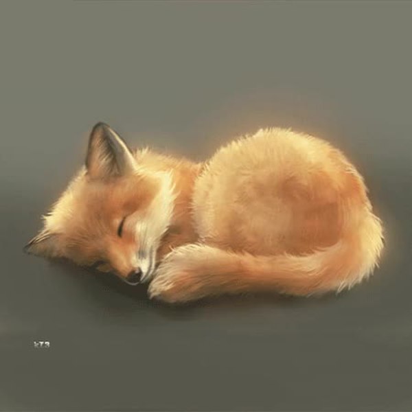 GIF Preview