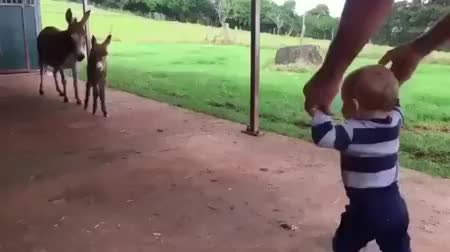GIF Preview