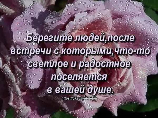 Берегите тех людей после встречи с которыми. Цитаты про близких людей. Близкие люди цитаты. Высказывания о душевной теплоте. Берегите ваши души.