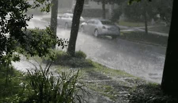 GIF Preview