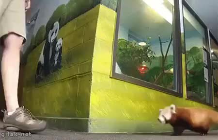 GIF Preview