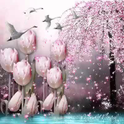 GIF Preview